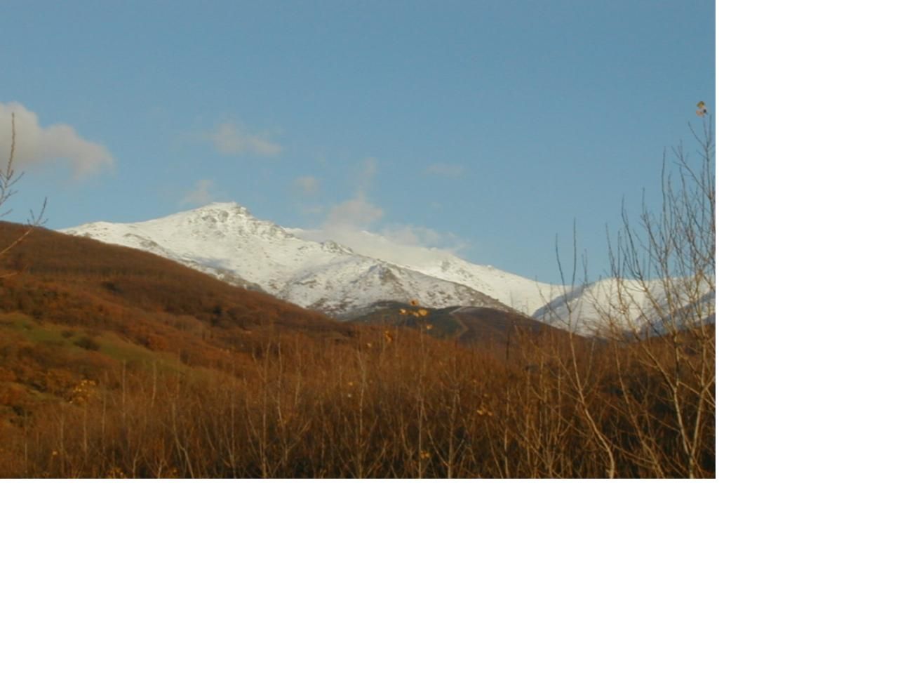 nieve