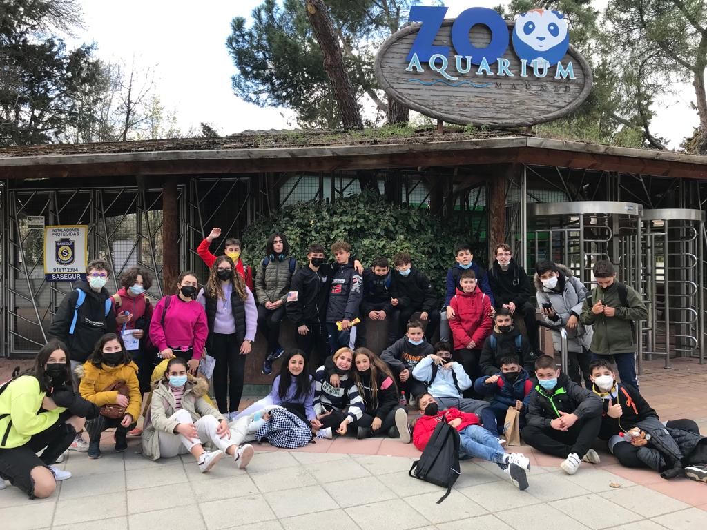 zoo 1