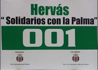 solidarios con la Palma
