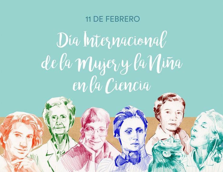 11 febrero