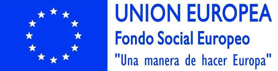 logo fse